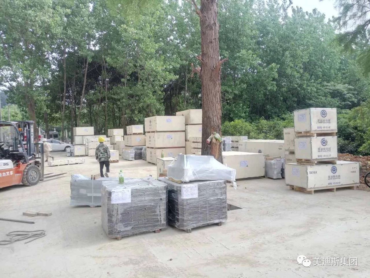 9999js金沙老品牌(中国)有限公司官网